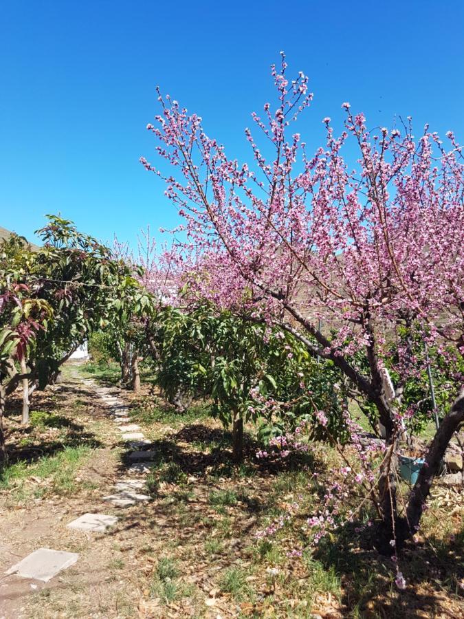 Casa Rural En Santa Cruz Los Campitos Екстериор снимка
