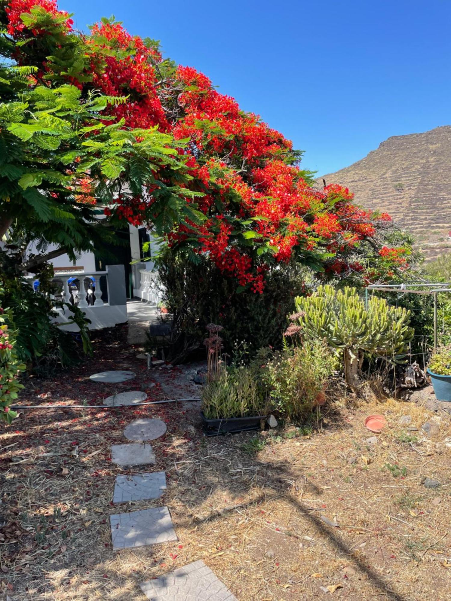 Casa Rural En Santa Cruz Los Campitos Екстериор снимка